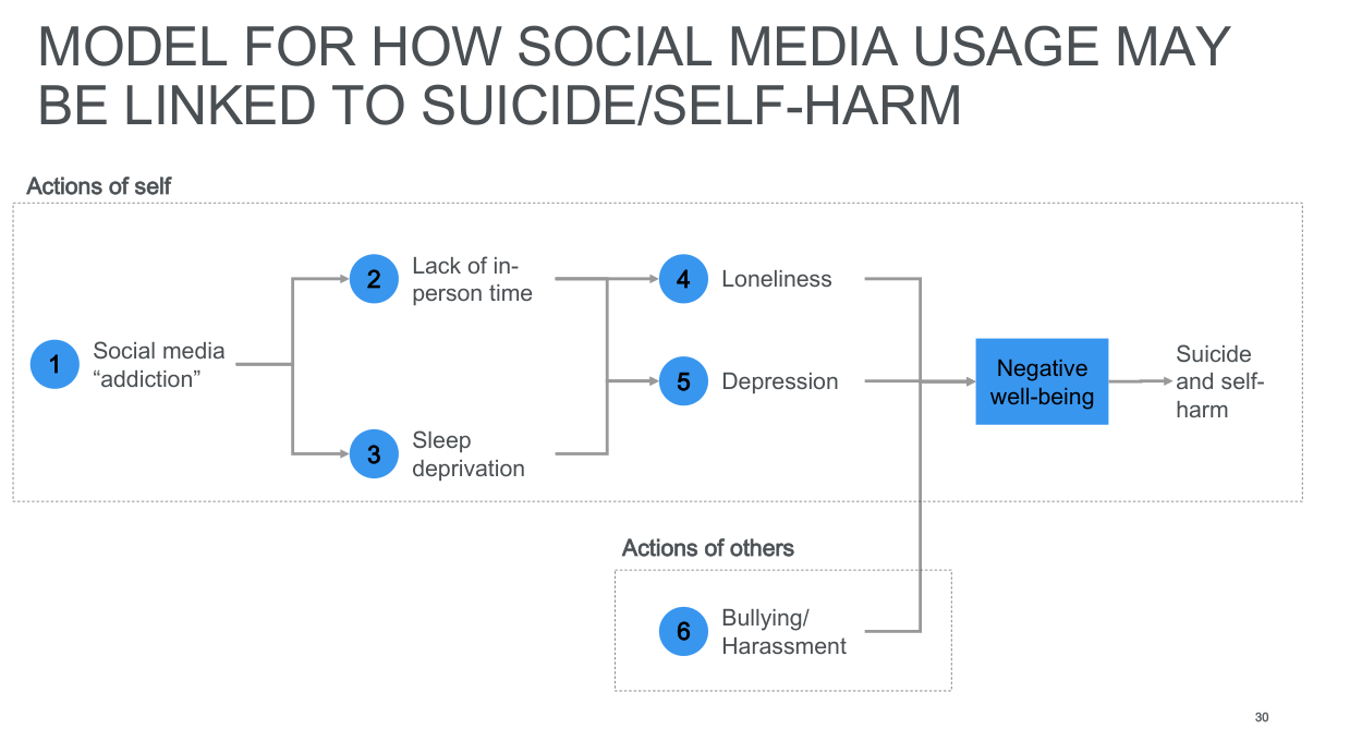 Page image from the source document, shown with the excerpt: "Model for how social media usage may be linked to suicide/self-harm"