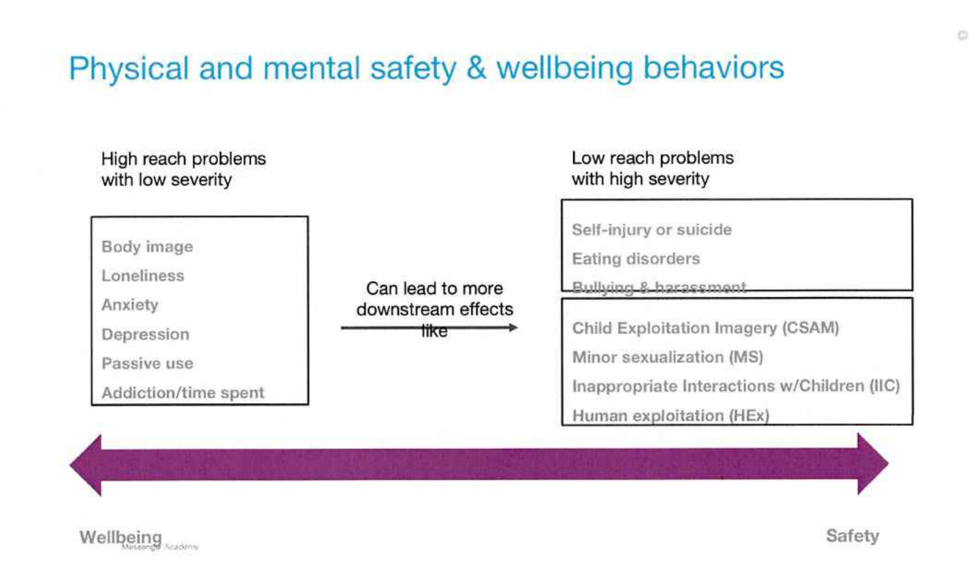 Page image from the source document, shown with the excerpt: "Social Media + Messaging + Video Calling + Payments: Can become tools for bad actors"